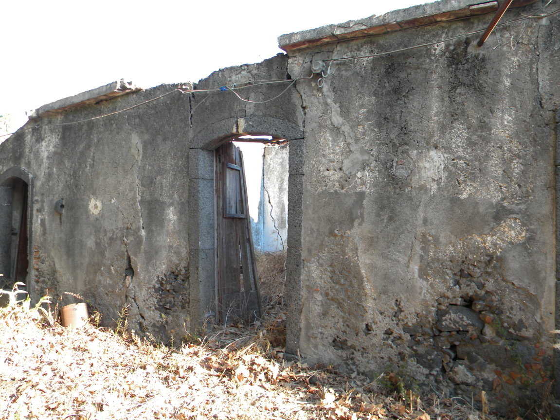 DSCN7989 .JPG